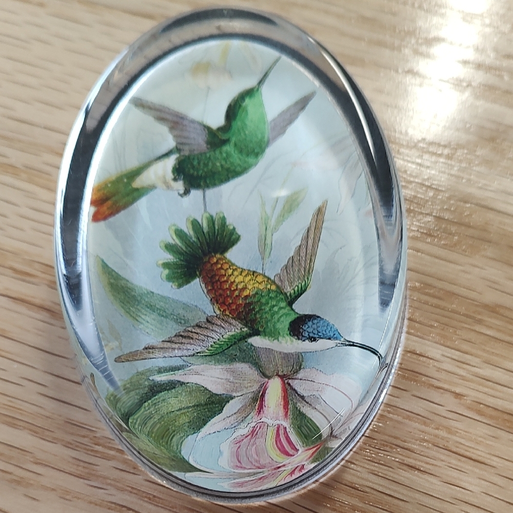 Oval Glass Hummingbird Paperweight with Green & Multicolor Illustration